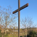 Versant nord de Millery / 3 avril 2020