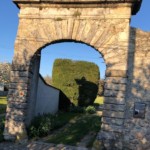 Versant nord de Millery / 3 avril 2020