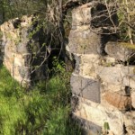 Versant sud de Millery / 28 mars 2020