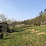 Versant sud de Millery / 28 mars 2020