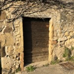 Versant sud de Millery / 28 mars 2020