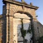 Versant sud de Millery / 28 mars 2020