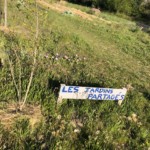 Versant nord de Millery / 3 avril 2020