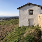 Versant nord de Millery / 3 avril 2020