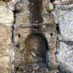 Versant nord de Millery / 3 avril 2020