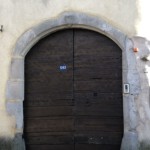 Versant nord de Millery / 3 avril 2020