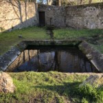 Versant nord de Millery / 3 avril 2020