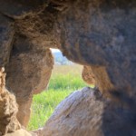 Versant est de Millery / 6 avril 2020