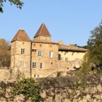 La Galée - Versant est de Millery / 6 avril 2020