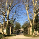 La Galée - Versant est de Millery / 6 avril 2020