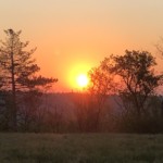 Versant est de Millery / 12 avril 2020