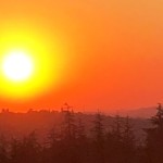 Versant est de Millery / 12 avril 2020