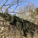 Centre de Millery / 28 mars 2020