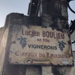 Versant sud de Millery / 28 mars 2020