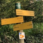 Versant sud de Millery / 28 mars 2020