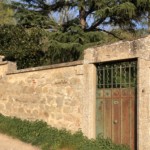 Versant sud de Millery / 28 mars 2020