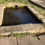 Versant sud de Millery / 28 mars 2020