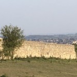 Versant sud de Millery / 28 mars 2020