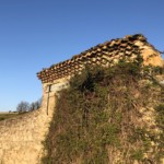 Versant est de Millery / 6 avril 2020