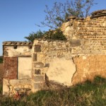 Versant est de Millery / 6 avril 2020