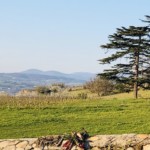 Versant est de Millery / 6 avril 2020