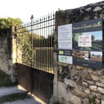 La Galée - Versant est de Millery / 6 avril 2020