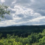 Versant nord de Millery - 5 mai 2020