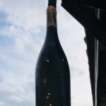 Versant nord de Millery - 5 mai 2020